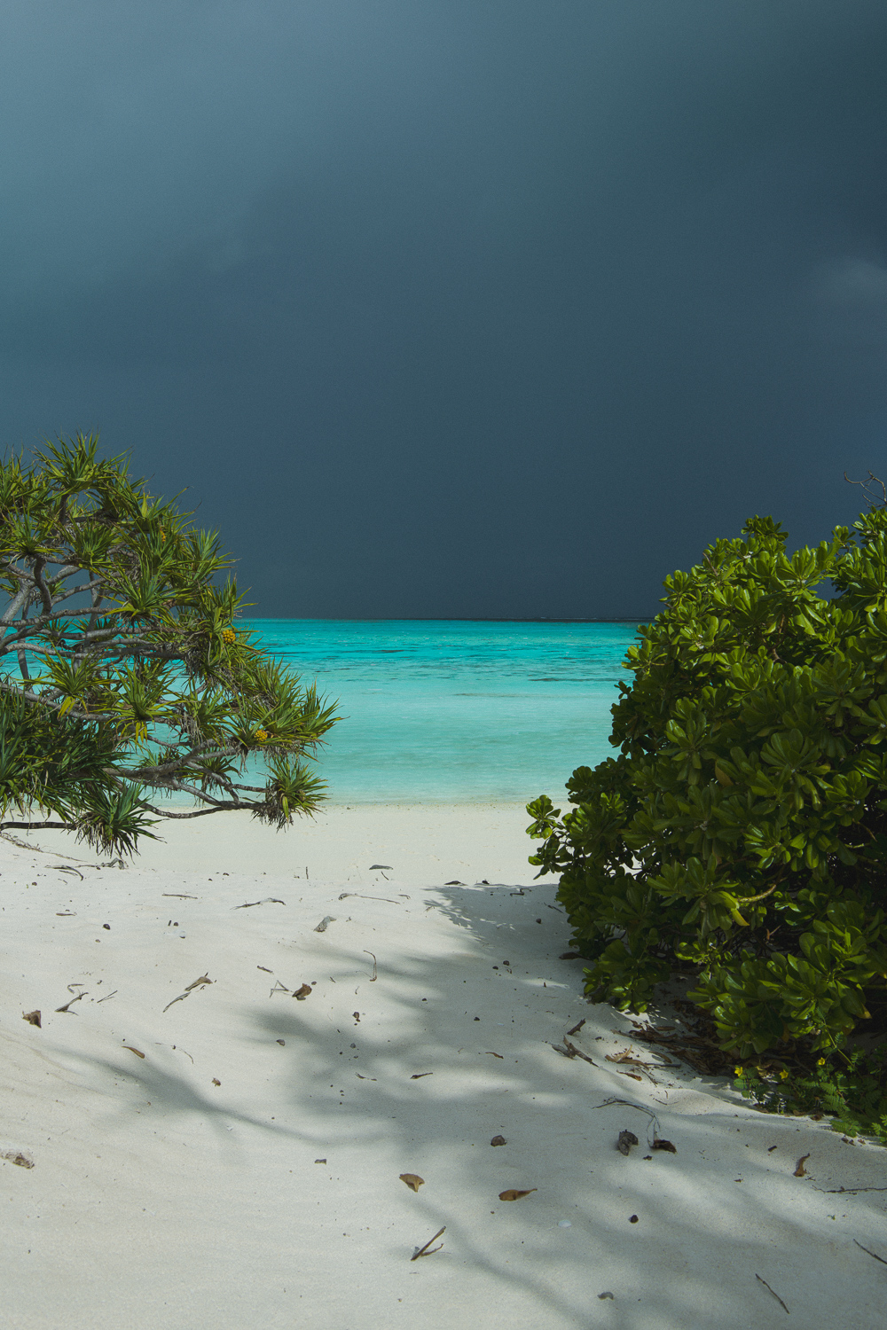 Reef and Thunderstorm